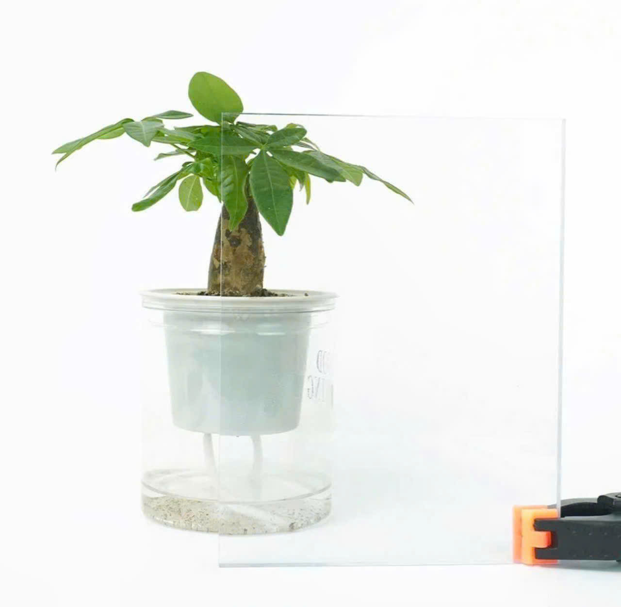 Tấm Poly đặc Asia Pear dày 3mm