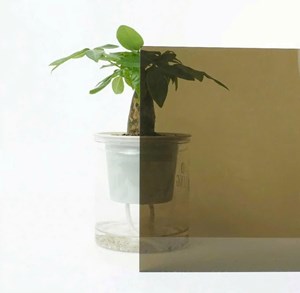 Báo Giá Tấm Poly Đặc Nhựa Hàn Quốc Chính Hãng, Giá Tốt